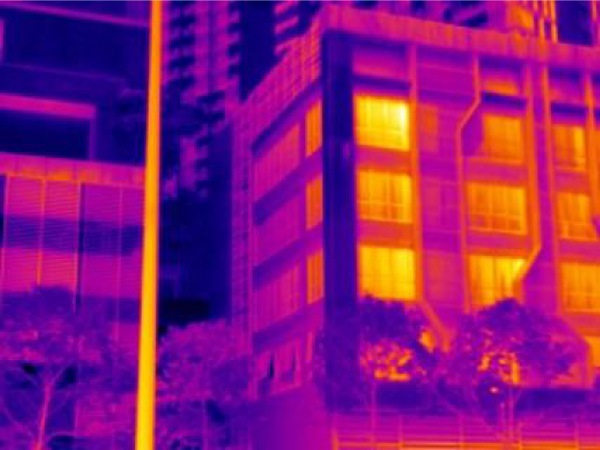 building inspection