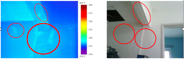 infrared thermography