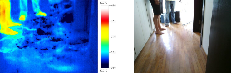 infrared thermography