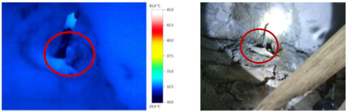 infrared thermography
